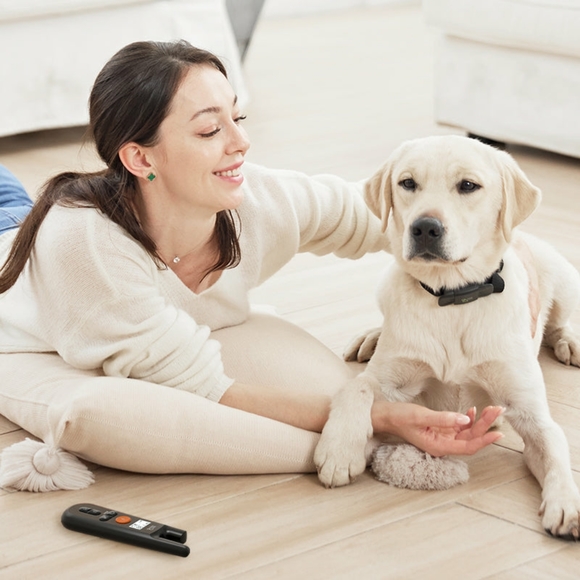 Well-D ADV MODEL TC01 DOG TRAINING SYSTEM - Picture 10 of 15